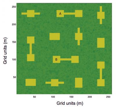 Simulation: Forest Patches and Corridors