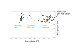 Mapping of the six ancient Teotihuacan individuals on theδ13C and δ15N reference data