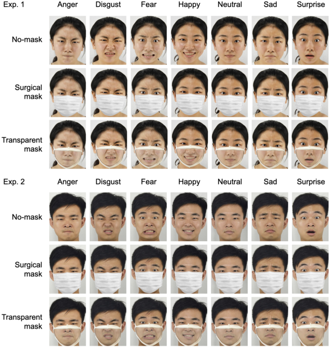 Some of the face images presented to the volunteers