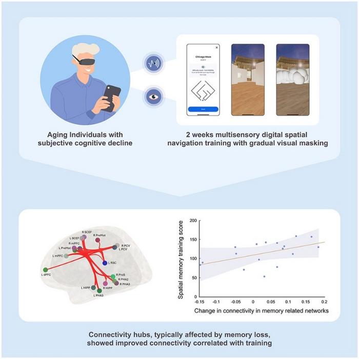 Graphical abstract