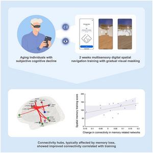 Graphical abstract