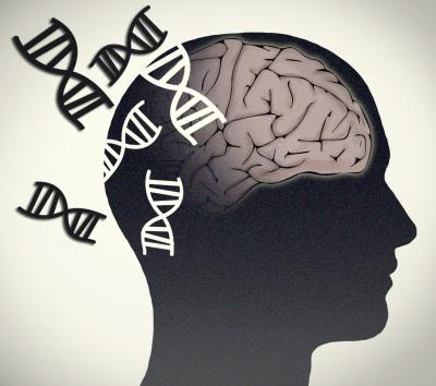Alzheimer's Disease Genetics