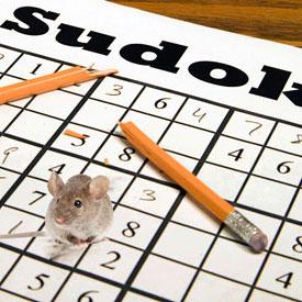 Mice on Sudoku Board