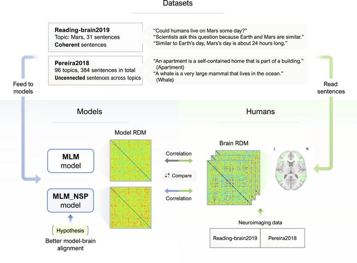 Overview of the datasets, computational models, and analysis.