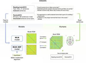 Overview of the datasets, computational models, and analysis.