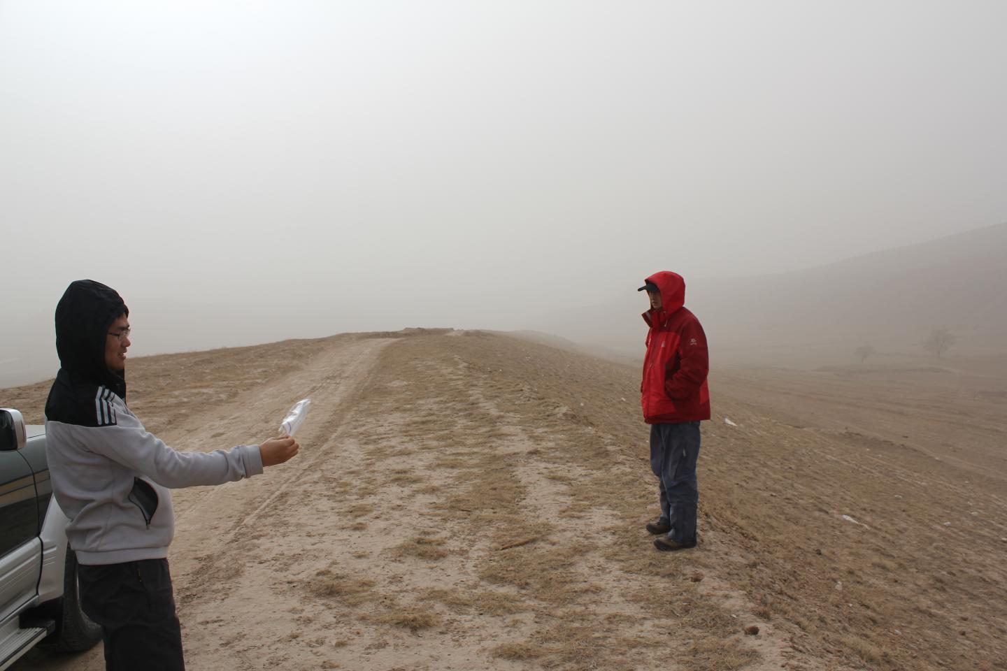 Windstorm on the Loess Plateau