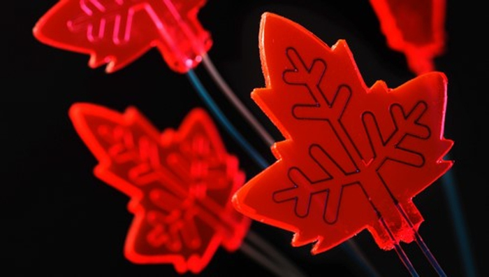 The solar concentrator attracted worldwide attention