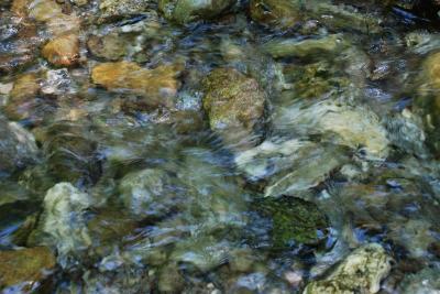 A Close-up of Wappinger Creek