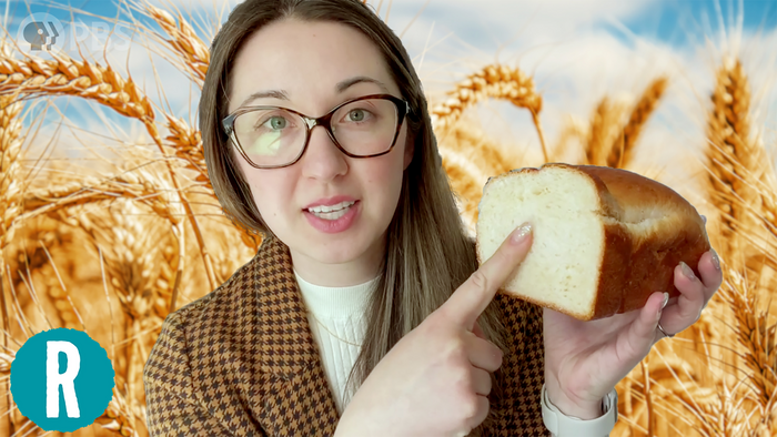 Starch gelatinization, retrogradation, and the world’s fluffiest white bread (video)