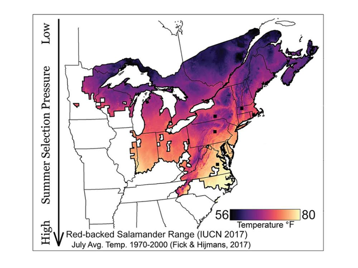 salamander map [IMAGE] | EurekAlert! Science News Releases