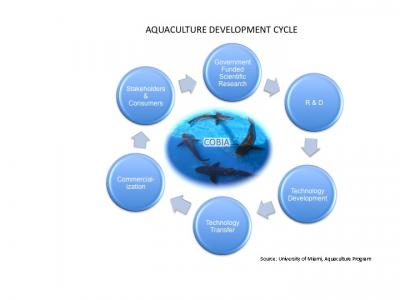 Aquaculture Development Cycle