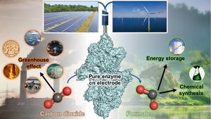 The gas conversion process by an electrode-based enzymatic reaction