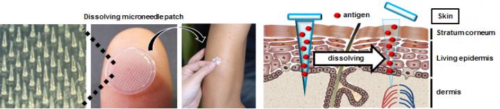 Dissolving Microneedle Patch