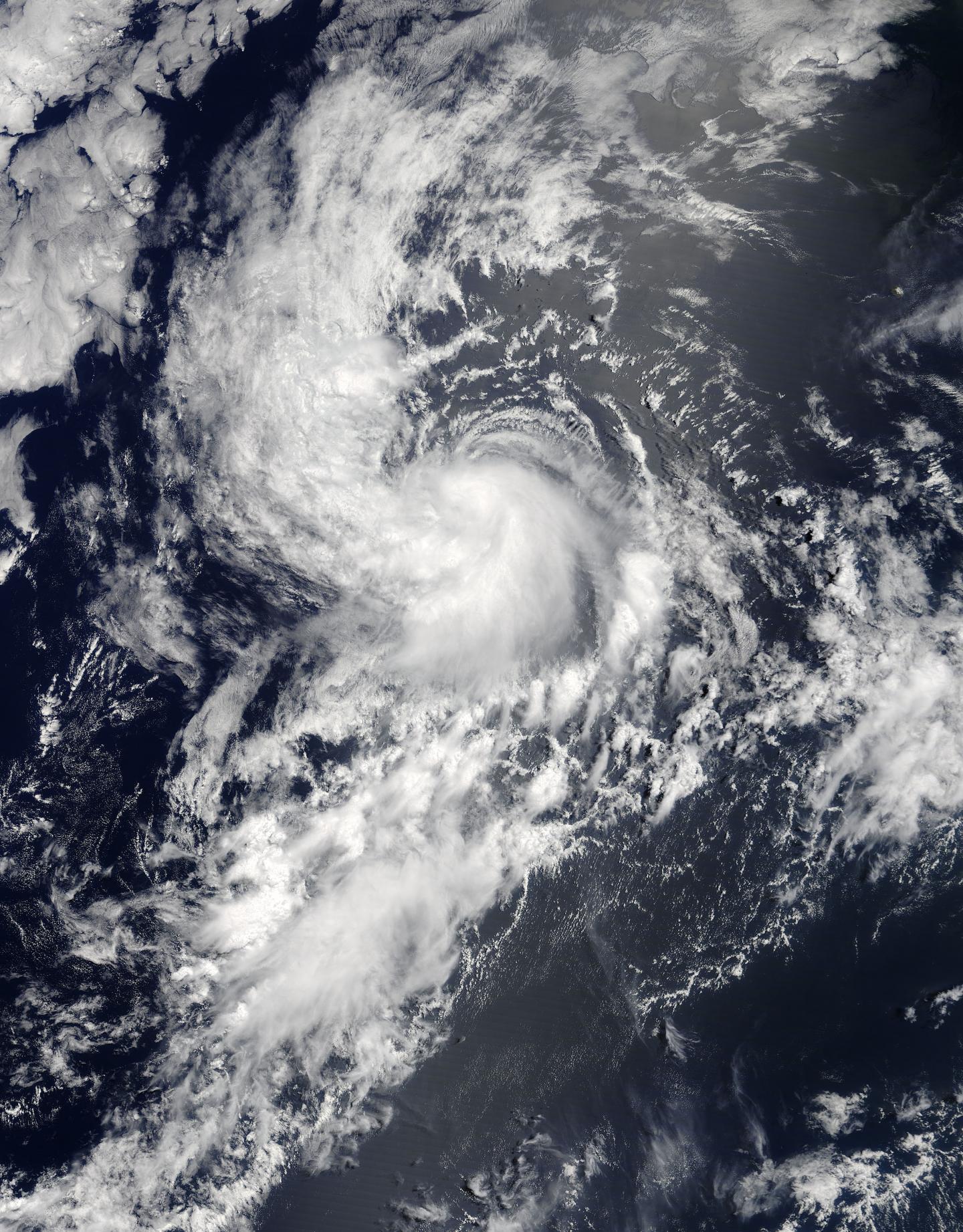 Terra Image of Daniel