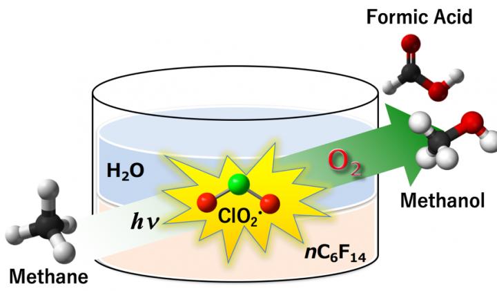 Fig.1 Chlorine Dioxide Radical