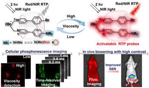 Construction of activatable organic phosphorescent probes and various biological imaging applications