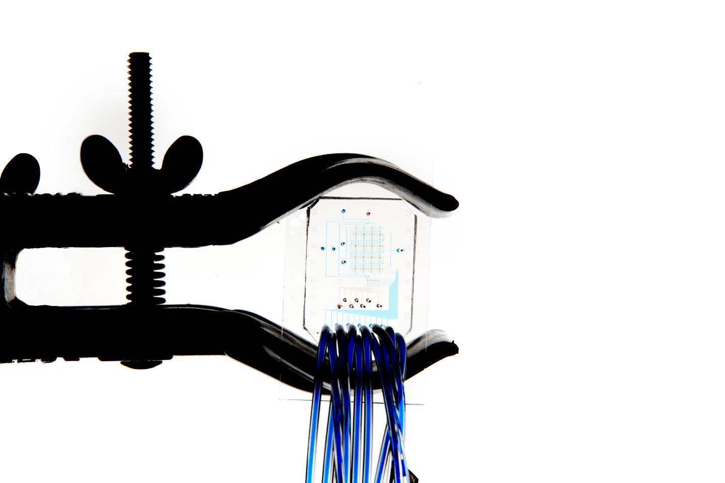 No Need to Pre-Treat Blood Samples