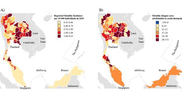 Is the COVID-19 pandemic affecting dengue virus case numbers?