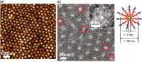 Polymer Membrane and Nanochannels