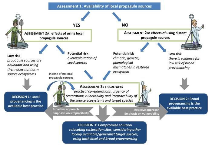 Three step decision support framework aiding seed provenancing decisions in restoration projects