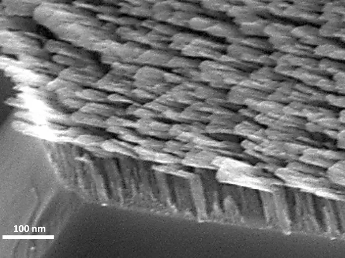 antenna-like nanorods