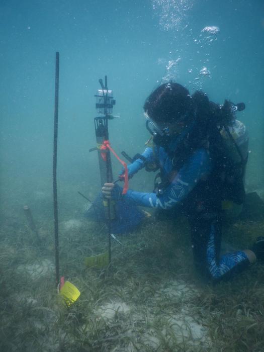 Installing an underwater speaker