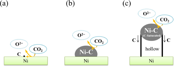 Schematic model depicting the stepwise formation of multi-walled carbon nanotube on a nickel substrate.