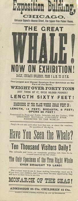 Newspaper advertisement for an exhibition of a whale carcass in Chicago.