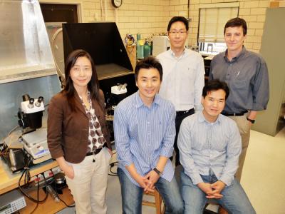 GaAs Multilayer Group