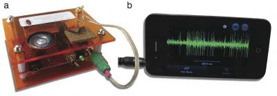 Listen to Neurons in Your Own Backyard with the SpikerBox