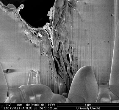 Clay in grain boundary