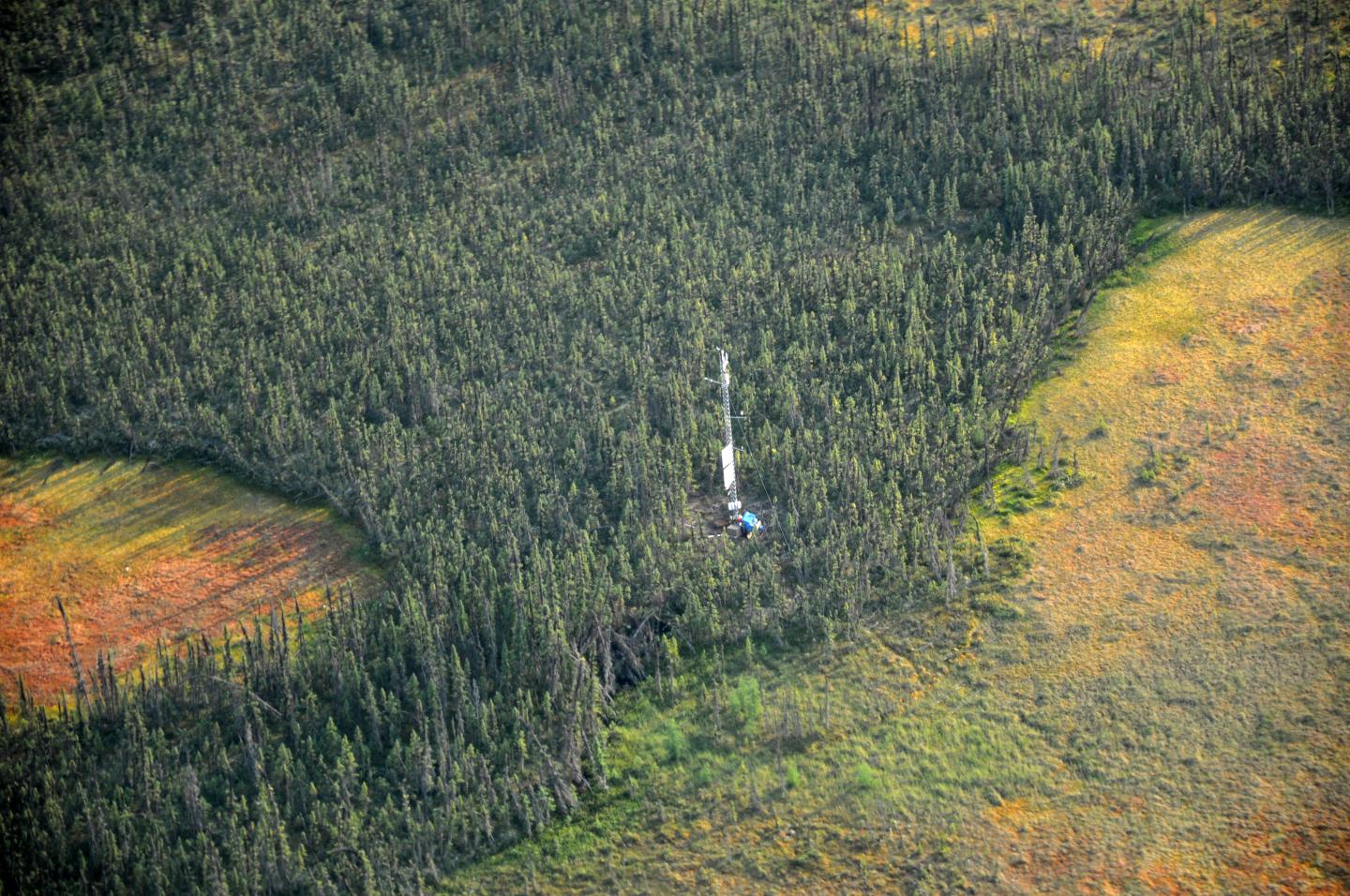 Eddy Covariance Flux Tower in Northwest Territories, Canada