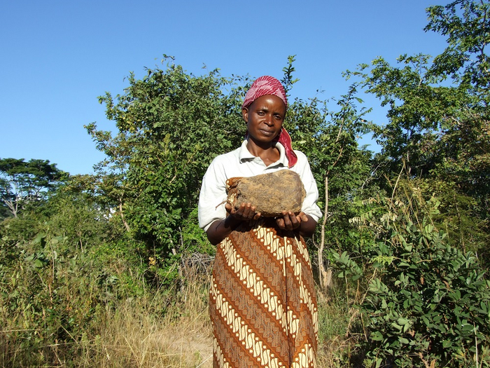 A farmer with a local remedy to fight pest of maize