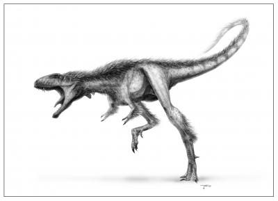 Raptorex