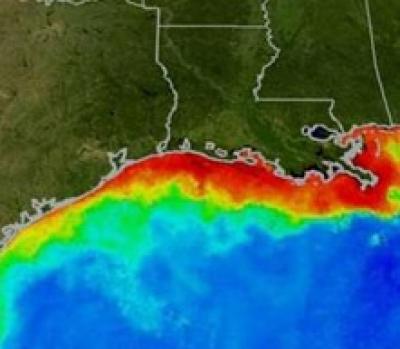 Boundaries of a Gulf of Mexico Dead Zone