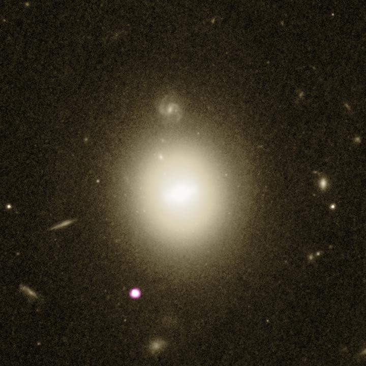 Luminous X-Ray Outburst from an Intermediate-Mass Black Hole