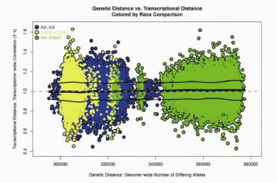 Genetic vs. Transcriptional Distance Colored by Race Comparison