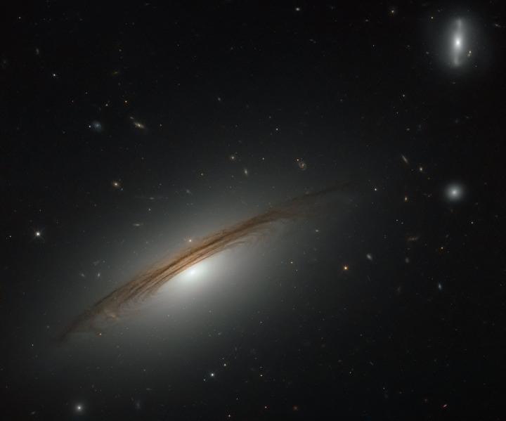 The Remarkable Galaxy UGC 12591