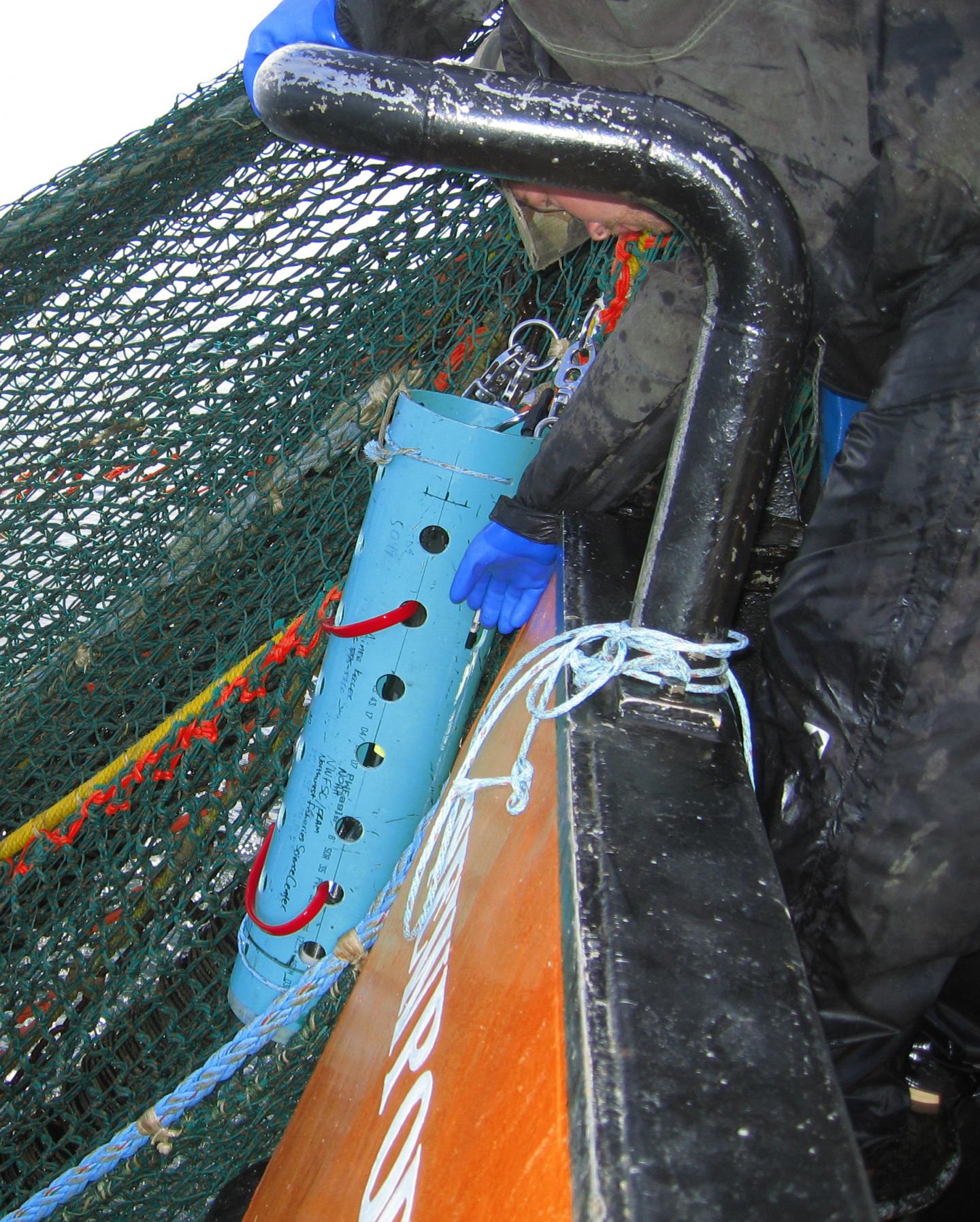 Oxygen Sensor Attached to Trawl Net
