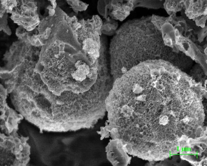 Scanning Electron Microscopy Image of Porous Carbon Microspheres