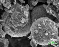 Scanning Electron Microscopy Image of Porous Carbon Microspheres