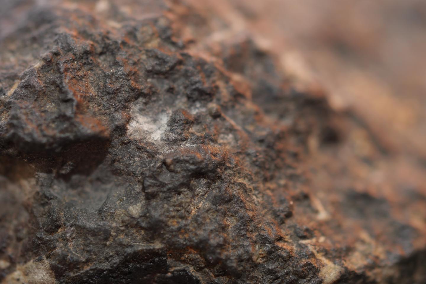 Chondrite Meteorite Macro Photo