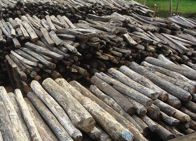 Illegal Rosewood Stockpiles in Antalaha, Madagascar