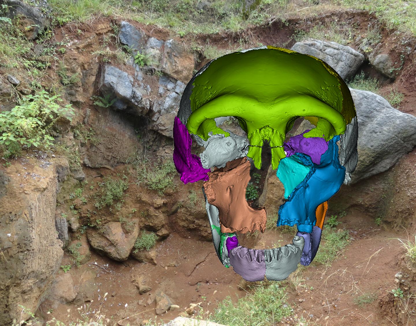 Hualongdong Middle Pleistocene Human Skull 