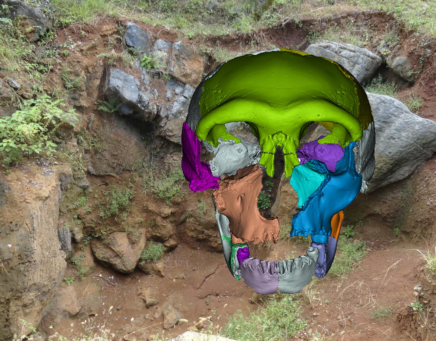 Hualongdong Middle Pleistocene Human Skull 