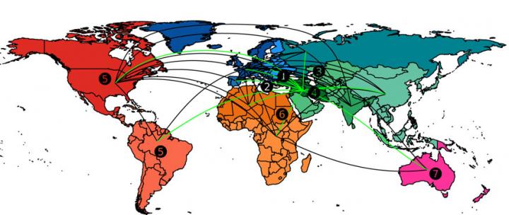 World Wide Distribution Routes of Wheat