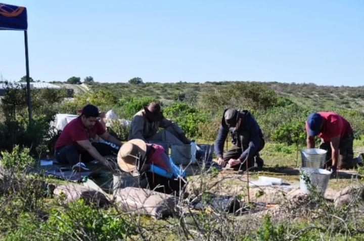 Langebaanweg's Excavation in 2018