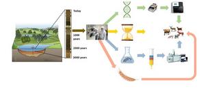 The memeland process