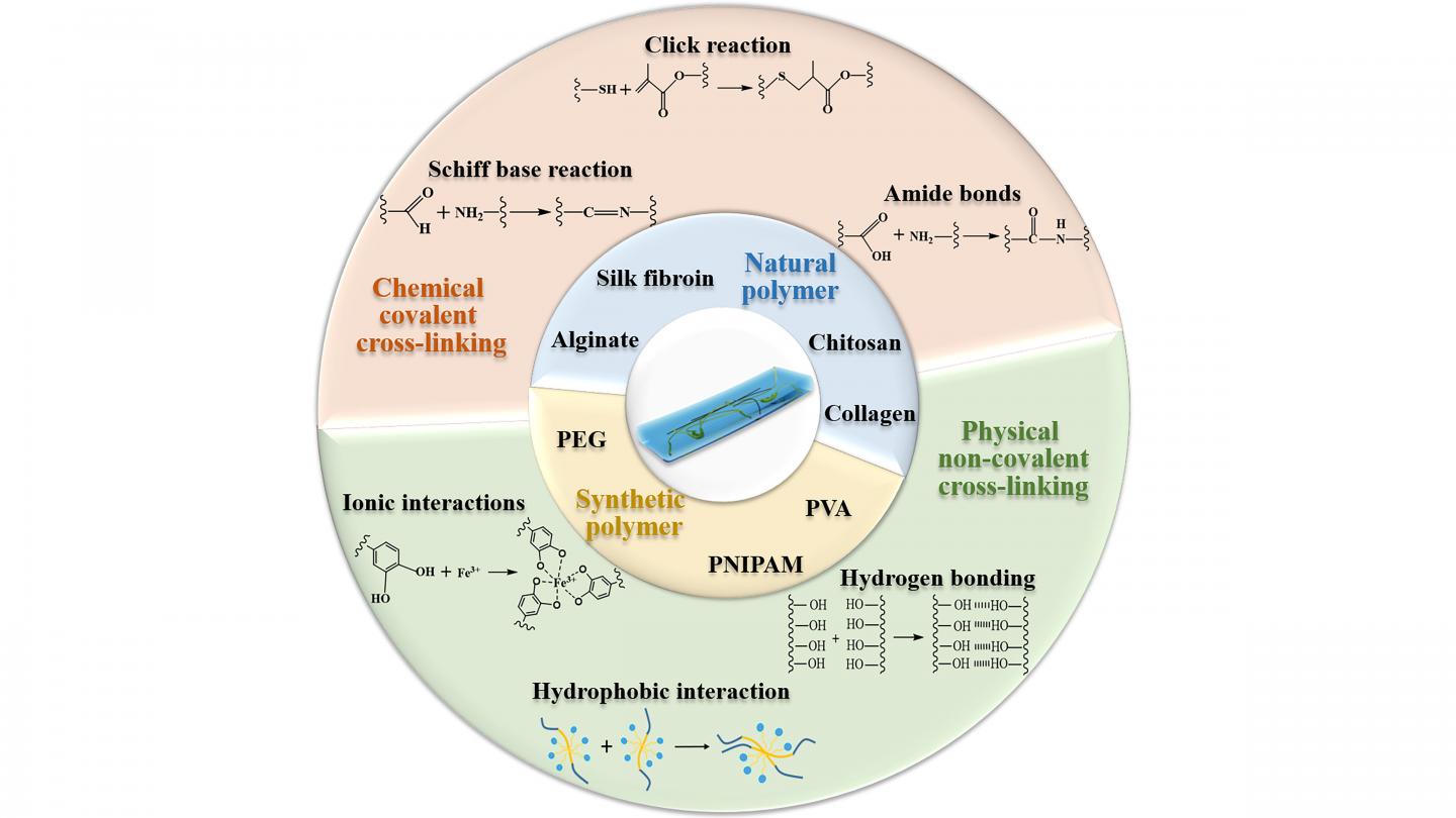 Crosslinking mechanisms and raw materials for various hydrogel wound dressings