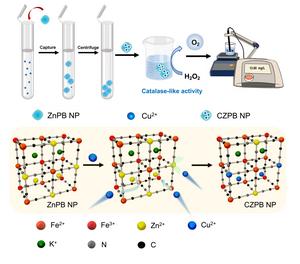 Zinc-Doped Prussian Blue Nanozyme Serve as All in One Copper Sensor